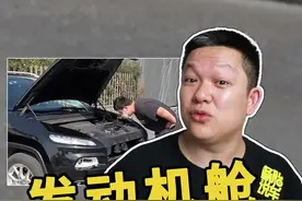 经常看到老司机打开发动机舱检查，他们到底在看什么？#发动机 #抖音520宠爱季 @抖音汽车 @抖音短视频 