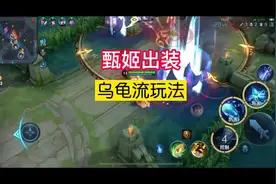 乌龟流甄姬出装玩法，冰冻加减速，又肉又恶心，伤害也不错。视频封面
