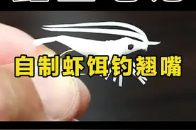 吸管自制虾饵钓翘嘴，绝了！ #路亚  #钓鱼 #手工diy视频封面