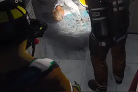 #模拟消防英豪 这老虎跟厕所杠上了？？？视频封面