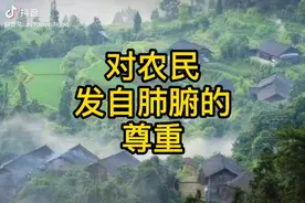 农民苦，农民累历朝历代贱如草，所以叫草民视频封面