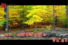 赵洋－爱你是你说的谎视频封面