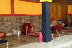 #热点小助手 #抖家视频封面