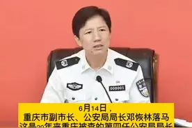 重庆市副市长、公安局局长邓恢林涉嫌严重违纪违法，目前正接受中央纪委国家监委纪律审查和监察调查。