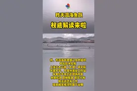 #大理 洱海“鱼跃”，解读来啦！ @抖音短视频  @DOU+小助手视频封面