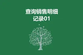 查询销售明细记录#excel技巧视频封面