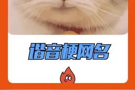 这届网友真的把#谐音梗网名 玩得明明白白！所以你是什么女士？！视频封面