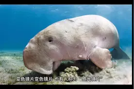 来了解一下你所不知道的变色镜片#科普一下 #青少年近视视频封面