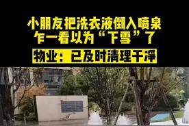 近日，江苏南京。小朋友把洗衣液倒入喷泉，乍一看以为“下雪”了。物业：已清理干净。#神操作 #意不意外 #熊孩子视频封面