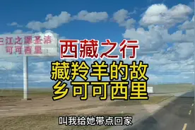 一路高反，终于到格尔木了，虽然这里的海拔3000多，但是没有高反视频封面