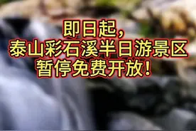 #中华泰山天下泰安 即日起，泰山彩石溪半日游景区暂停免费开放！