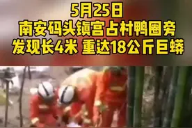 #南安 惊现4米#巨蟒 蛇身大腿粗 吃了两只鸭视频封面