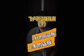 飞卢防盗版指南(下)：为啥飞卢防盗版这么好？还不是自己本身有问题#小说 #网文视频封面