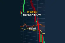 同花顺APP崩了，投资者损失谁来买单？视频封面