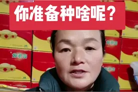 秋季你准备种什么作物呢？还种花生吗？#抖音助农# 三农#新农人 #农业技术视频封面