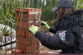 让花园充满仪式感的好看洗手池，简单几步就能自己制作！#知识创作人 #花园视频封面