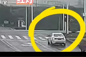 我弱我有理，我受伤了就得给我钱视频封面