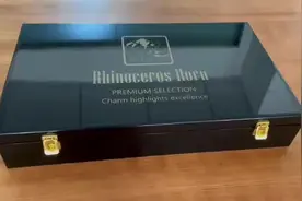 大犀牛，一场视觉和味蕾的盛宴。视频封面
