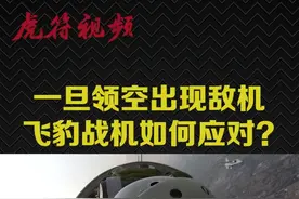 #燃兵器 #飞豹战机 不是一款空优战机，如果碰见敌方战机侵入真的只有束手就擒？