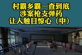 村霸乡霸一查到底 涉案枪支弹药让人触目惊心（中） 