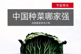 中国种菜哪家强？哪有困难就往哪送菜，承包全球10亿人餐桌~#涨知识 #种菜  #山东 