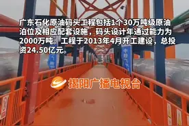 广东石化原油码头工程通过竣工验收！#石油化工视频封面