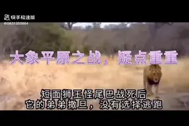 狮王争霸战，坏男孩联盟PK保卫者联盟，人为干预视频封面