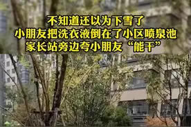 不知道的还以为#下雪了，竟是#小朋友把#洗衣液倒在了喷泉池…视频封面