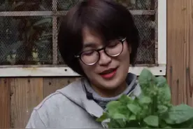 一种可以赏花的花烟cao，开出的花就像缩小版的曼陀罗花视频封面
