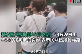 最高拍卖价33万！54只淘汰警犬被拍卖， 认养市民队伍排到马路上。视频封面