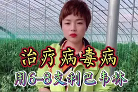 #三农 #种植 #小技巧 #技术 #学习 作物病毒病打不住的时候，你当地买点利巴韦林，安全效果好，不信你试试？视频封面