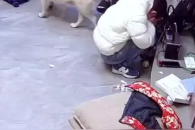 3月7日，夫妻吵架后女子崩溃哭泣，男子见状慢慢靠近并从背后紧紧抱住她，网友：羡慕这样的爱情！#暖心#正能量#感动瞬间视频封面