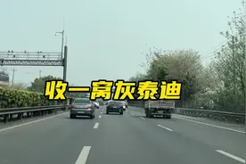 今天去剑南大道那边收一窝灰泰迪宝宝#灰泰迪 #灰泰迪幼犬视频封面