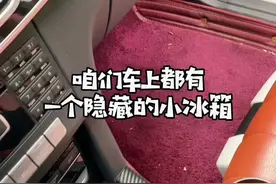 车上还有一个隐藏的小冰箱，大家都知道吗？#汽车知识视频封面