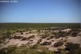 猎人拿弓箭狩猎养家，遇到野牛部队，一箭射穿拉回去卖钱，纪录片视频封面