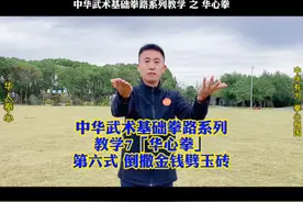 武术基本功套路华心拳第六式倒撒金钱劈玉砖撤步砍掌视频封面