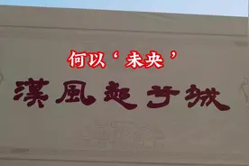 何以‘未央’    夜如何其？夜未央，庭燎之光 #未央宫遗址视频封面