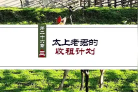 砸出来的十八粒金丹砂，是西行项目应该付的租金。主讲@南山空同
