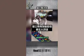 哈士奇用发音按钮和主人对话，主人表示只教了它两个多月，这简直是哈士奇之光！视频封面