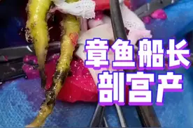 章鱼船长的剖宫产术！戴维琼斯诞生记！#科普界的泥石流想往哪流往哪流