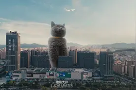 哈基米：“其实我平时很厉害的你知道吗？”#哈基米 #特效合成视频封面