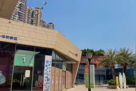 #我的生活日记 出生1996年农历10月，据说属鼠的过了24岁视频封面