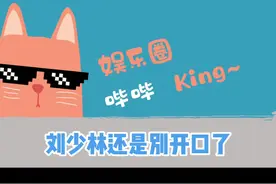 额...#刘少林求求你了~别开口了~还是做我心中的精灵王子吧！#娱乐评论大赏 #搞笑 视频封面