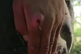 外国军人看到中国军人的手，竖起了大拇指！这些年轻军人的手，看得心疼也敬佩！视频封面