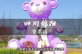 我在四川绵阳找到了超好玩的遛娃宝藏地，爱丽丝童话城堡视频封面