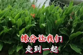 缘分让我们走到一起，我会好好的珍惜#白头到老永不分离 #情感音乐视频封面