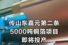 传山东嘉元第二条5000吨铜箔项目即将投产，嘉元科技：属实#中证传闻求证视频封面