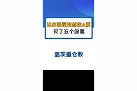 比尔盖茨竟然在A股买了五个股票！#比尔盖茨 #魁北克 #澳门金管局 #卫星化学 #东方盛虹 #中材科技 #金力永磁 #仙鹤股份
