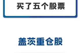 比尔盖茨竟然在A股买了五个股票！#比尔盖茨 #魁北克 #澳门金管局 #卫星化学 #东方盛虹 #中材科技 #金力永磁 #仙鹤股份