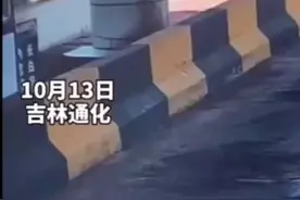 母鸡路过收费站下完蛋就跑，网友围观笑称：这是来交过路费的吗？视频封面